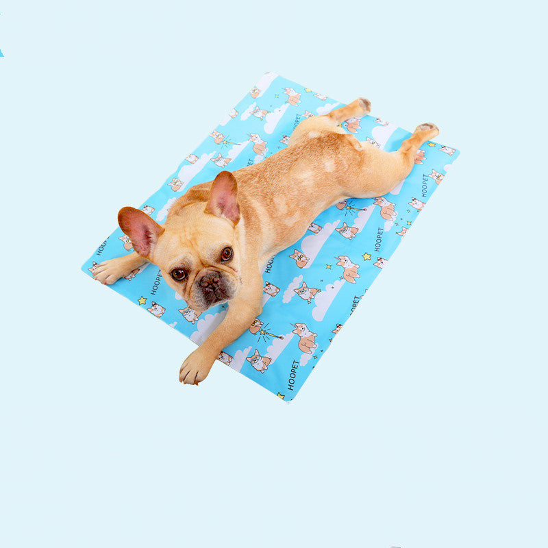 Tapis de Glace pour Chien