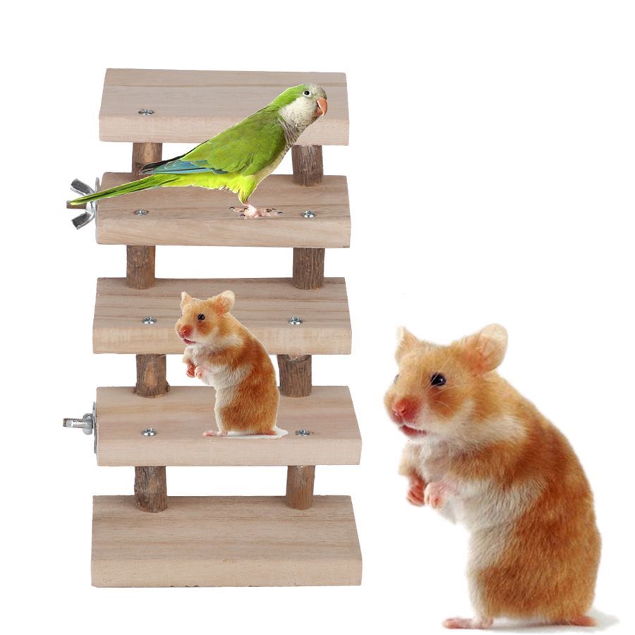 Escalier en bois pour animaux avec perroquet, hamster, et jouets pour enrichir leur expérience de jeu.