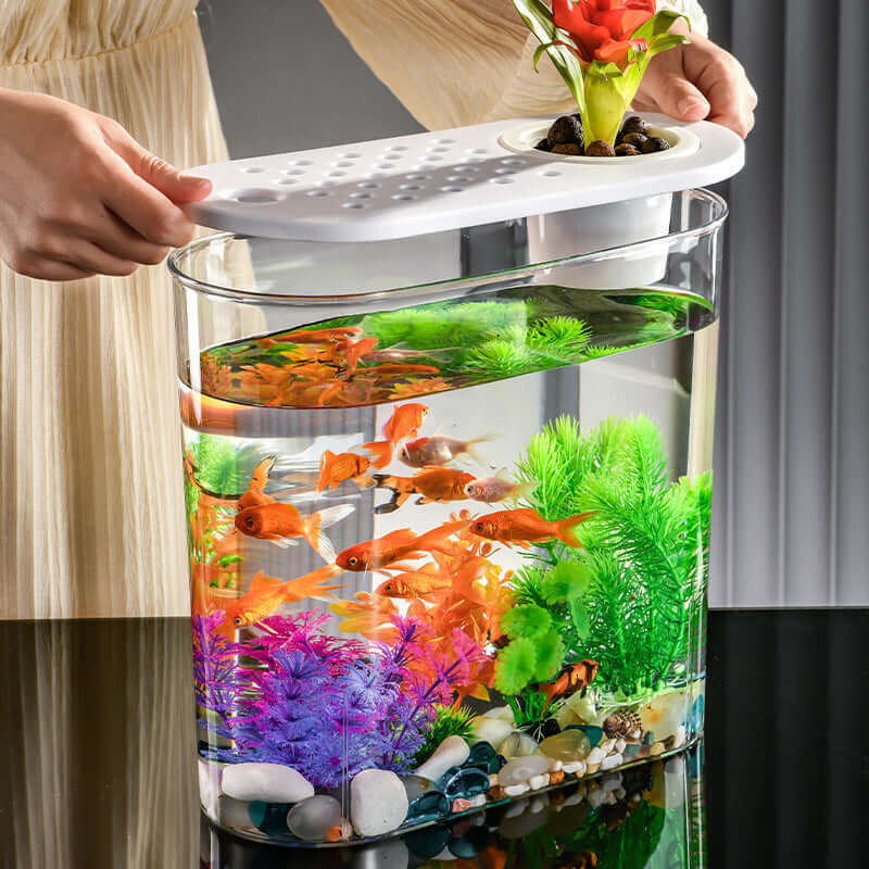 Aquarium incubateur écologique transparent avec poissons et plantes colorées