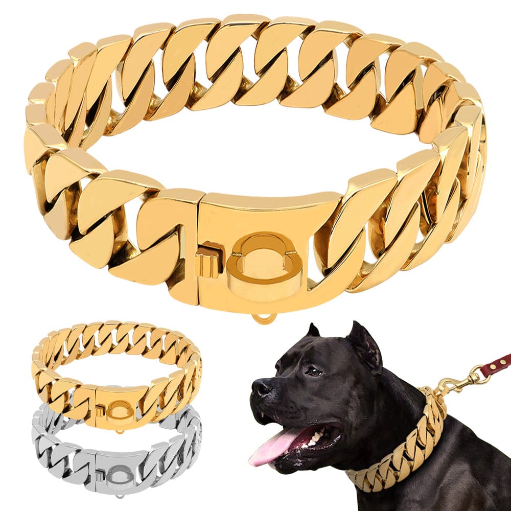 Chaîne en acier inoxydable dorée et argentée pour chien, robuste et élégante, idéale pour les promenades.