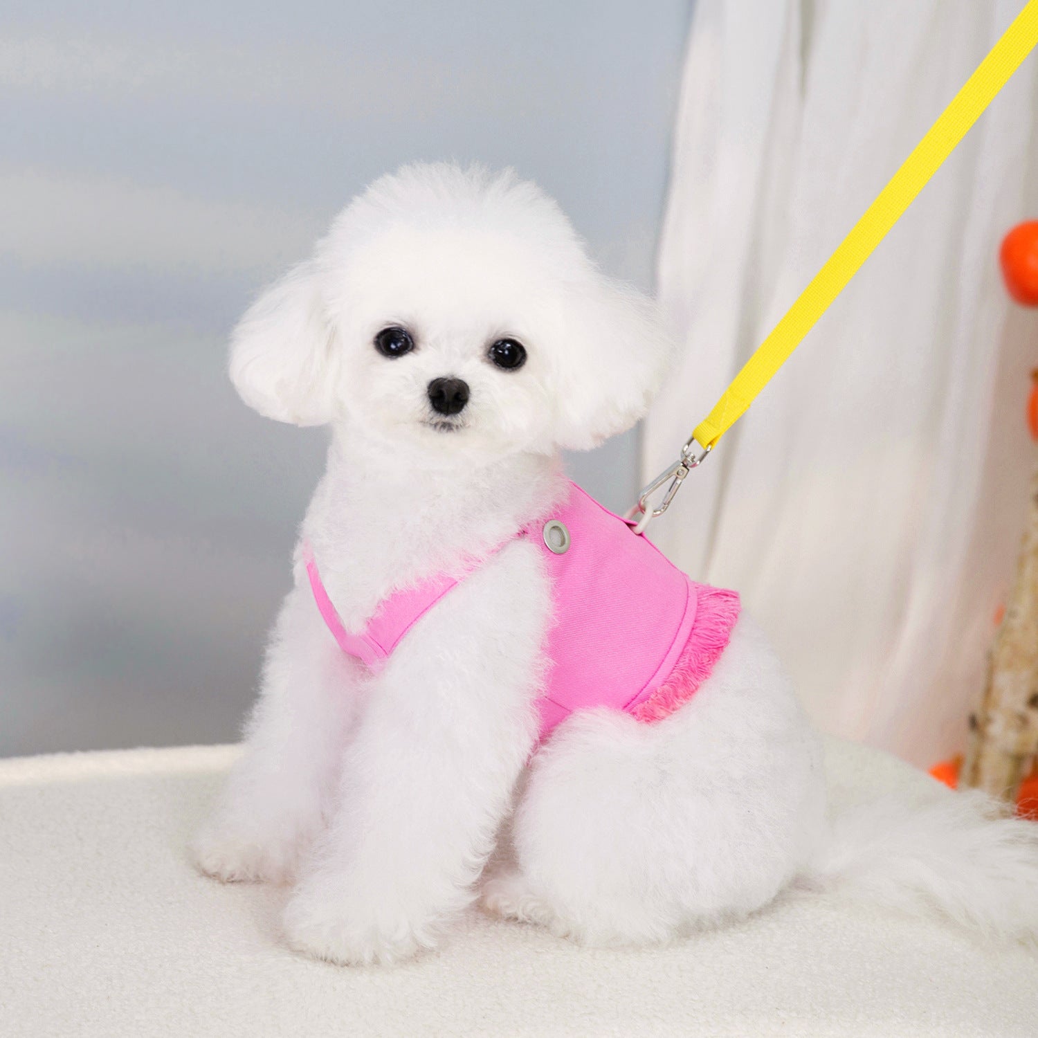 Chien blanc portant un harnais de traction personnalisé rose avec une laisse jaune, offrant confort et style.