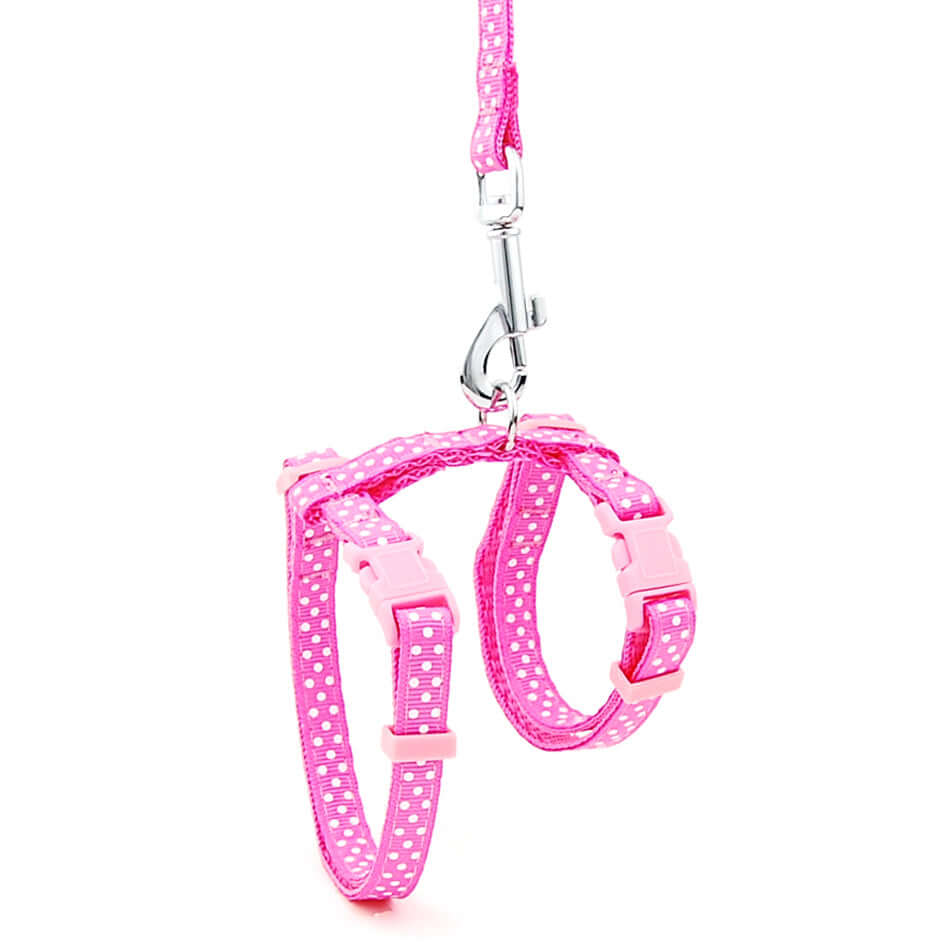 Laisse anti-rupture en nylon rose à pois pour chat, idéale pour la sécurité lors des promenades.