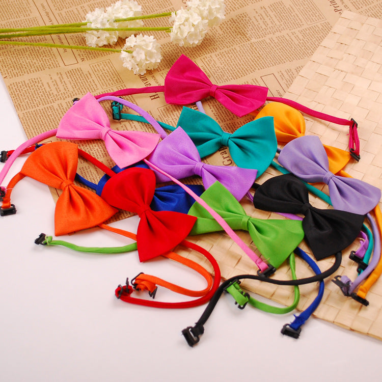 Collier coloré pour animaux avec nœuds en velours, disponibles en plusieurs couleurs vives et tendance.