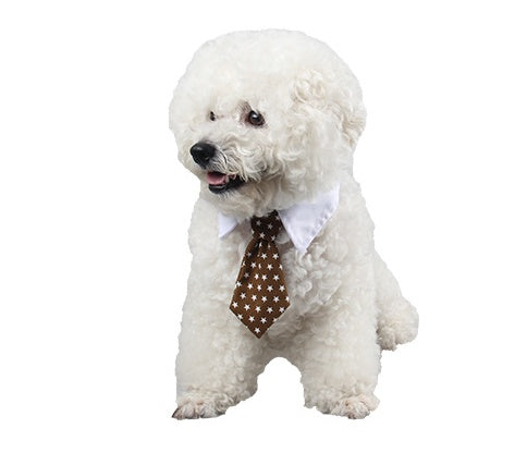 Chien blanc mignon avec cravate marron à étoiles et col blanc, ajoutant une touche élégante à son look.