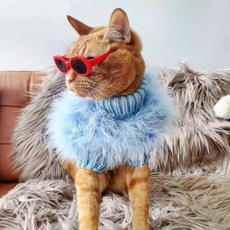 Un chat orange portant des lunettes de soleil et un pull bleu en laine avec un col en fourrure sur un sofa moelleux.