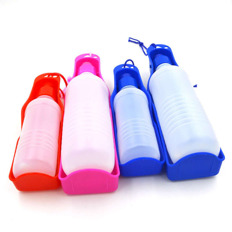 Kettle portable pour chien en différentes couleurs, idéal pour hydrater votre animal en déplacement.