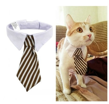 Nœud papillon pour chat beige à rayures porté par un chat sur un canapé, ajoutant du style à son look.