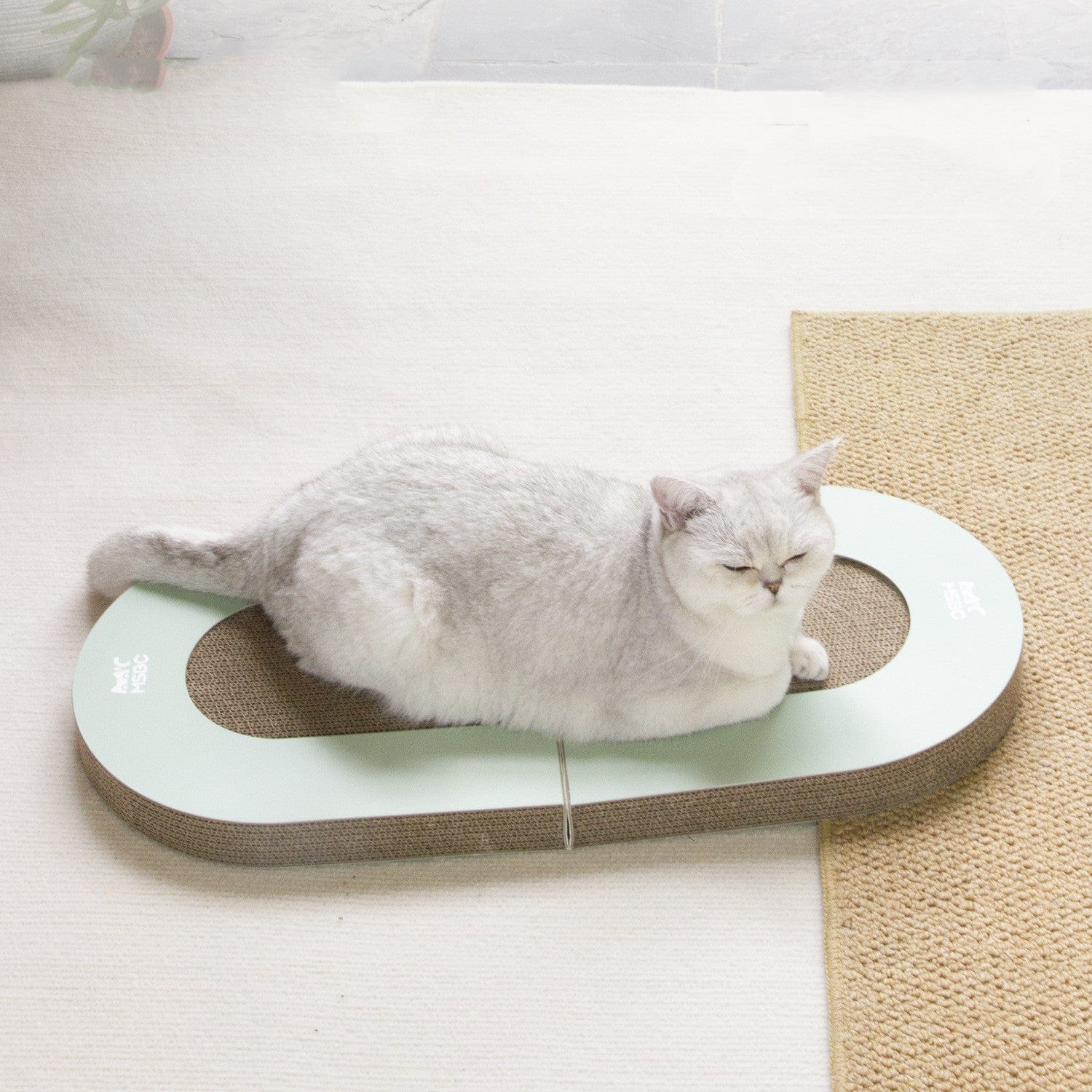 Chat dormant sur une planche à griffer pliable en papier ondulé, jouet idéal pour les félins.