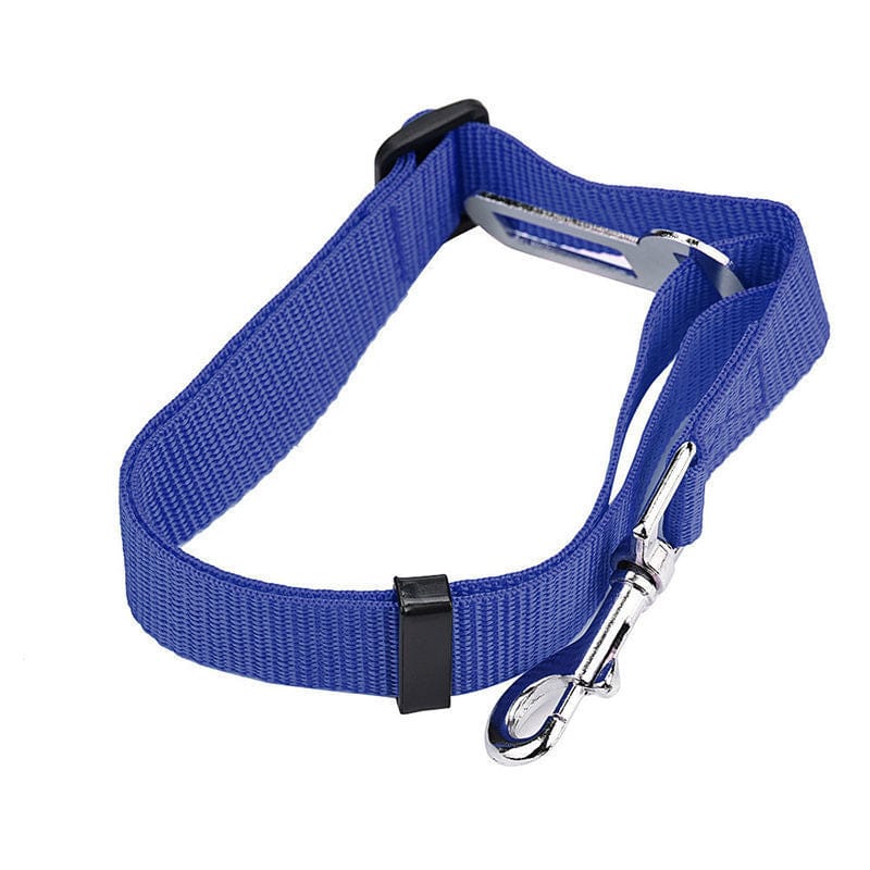 Corde de sécurité rétractable en nylon pour chien de couleur bleue, légère et durable.