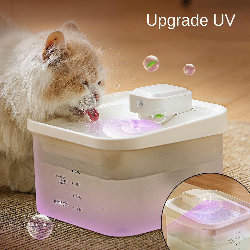 Distributeur d'eau automatique pour chat avec filtration UV, garantissant hydratation optimale et confort.