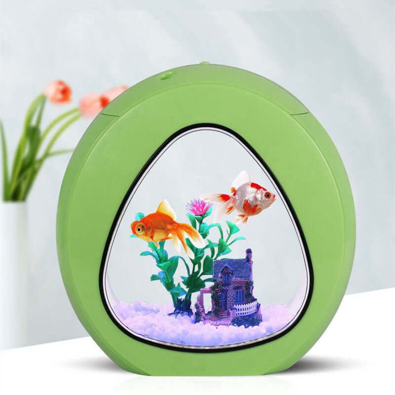 Aquarium de Bureau AquaDesign avec poissons, plante et décor, élégant et durable pour espace de travail ou maison.
