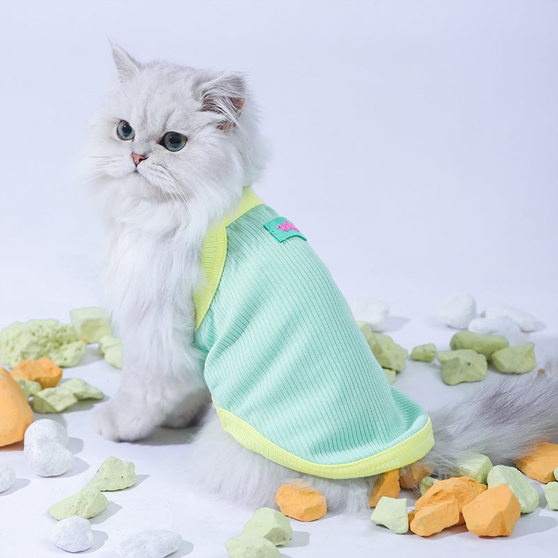 Chat élégant portant un gilet Été Minou, idéal pour garder les animaux au frais en été.