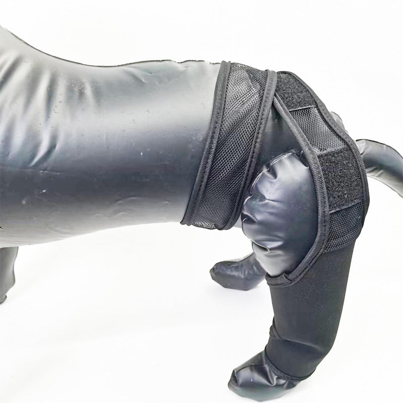Équipement de protection pour chien en néoprène, conçu pour soutenir les chiens en convalescence après une fracture.