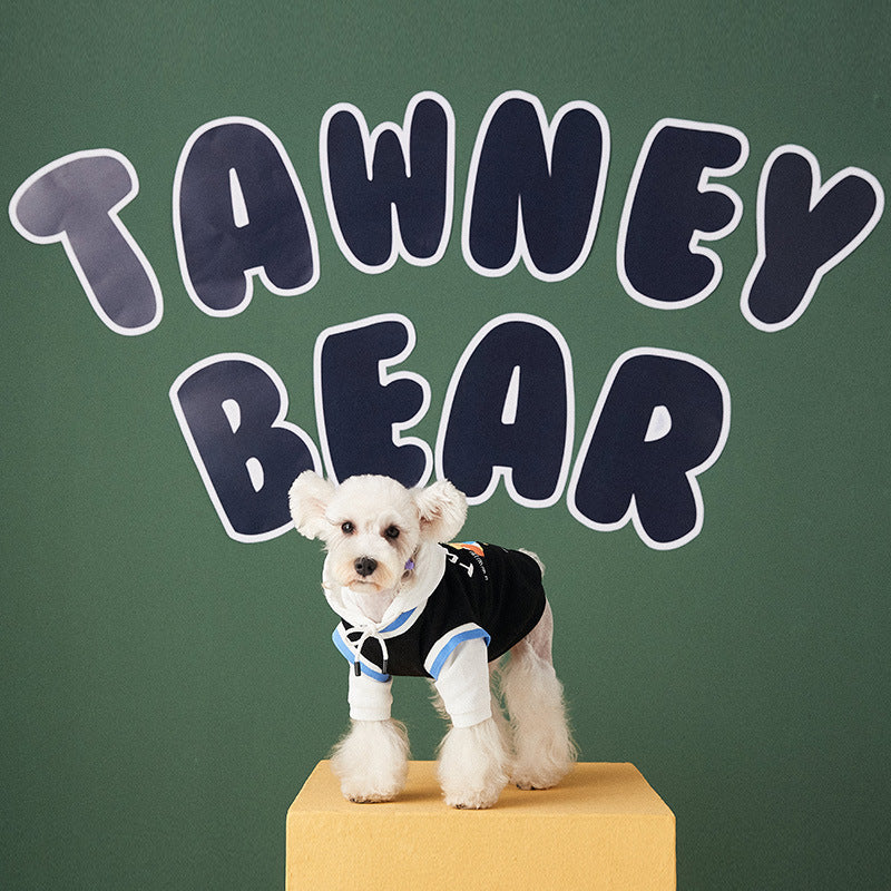 Chien portant un pull en coton devant un mur avec le texte "Tawney Bear", style moderne et élégant.