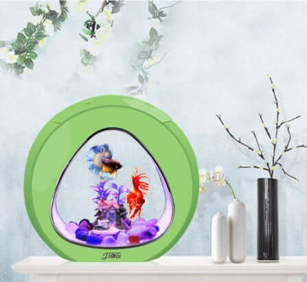 AquaDesign aquarium de bureau élégant avec poissons colorés et décorations, parfait pour un espace de travail moderne.