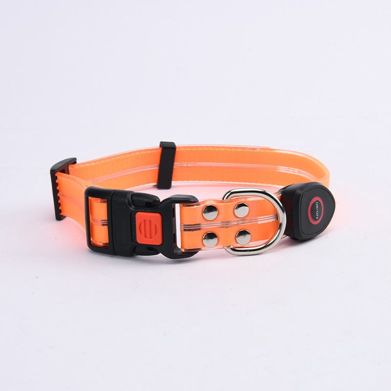 Laisse LED pour animaux de compagnie en orange, offrant visibilité de nuit pour la sécurité des promenades.