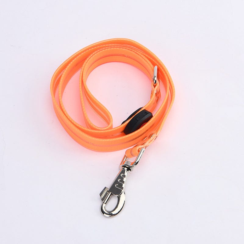 Laisse LED pour animaux de compagnie en orange, idéale pour la sécurité lors des promenades de nuit.