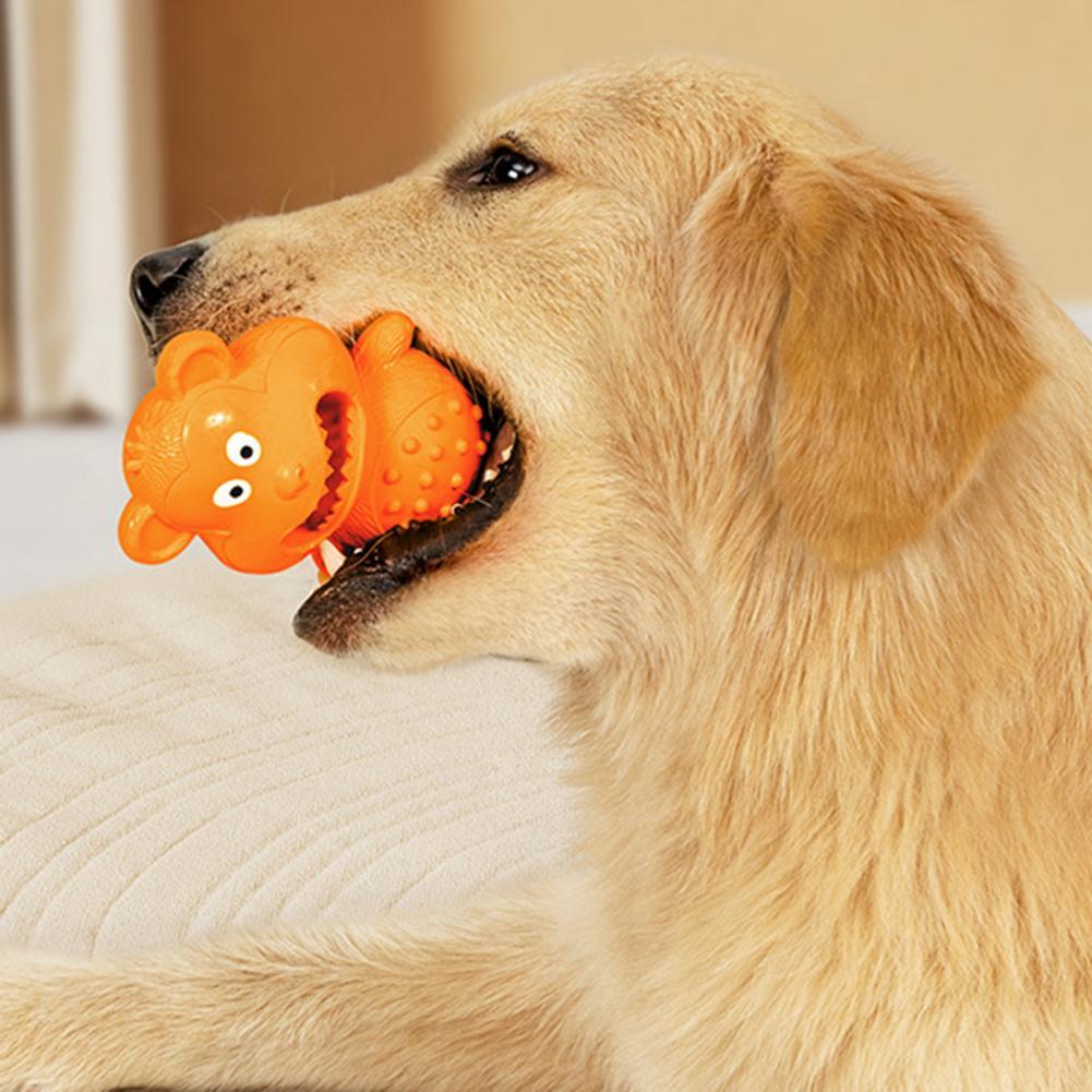 Jouet à Mâcher en Caoutchouc pour Chien