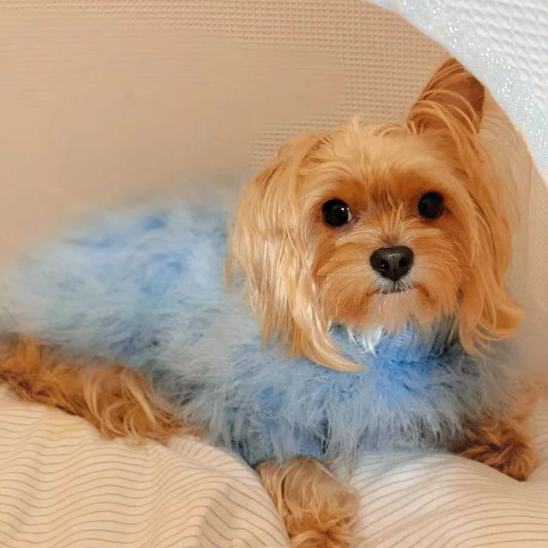 Chien Yorkshire portant un pull rond bleu en acide acrylique, parfait pour l'automne et l'hiver.