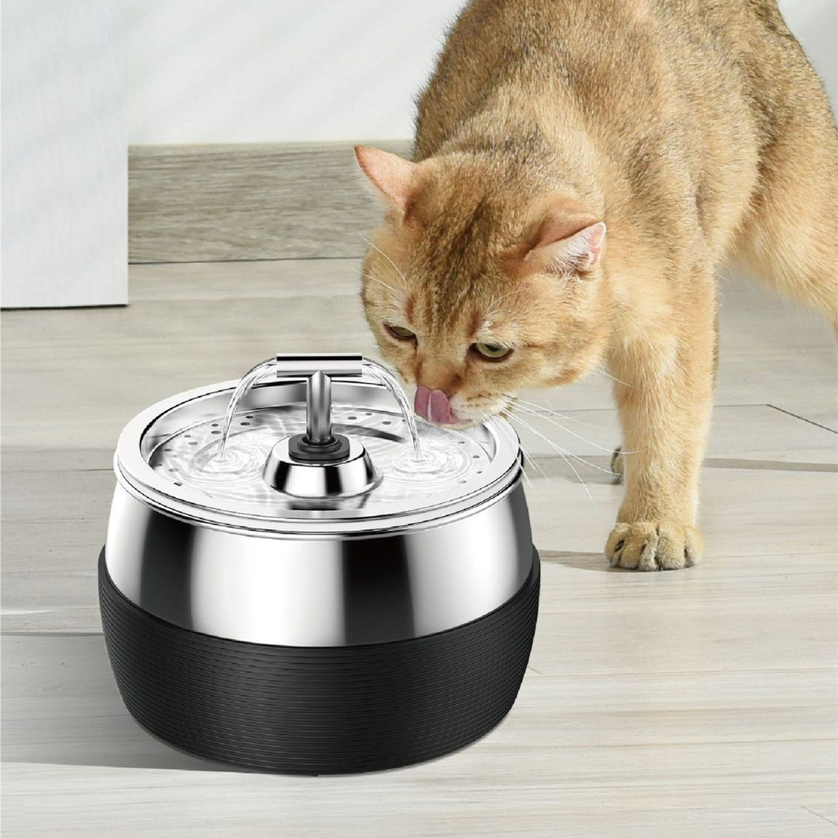 Chat buvant de l'eau d'un distributeur en acier inoxydable sur sol intérieur, accessoire pour animaux.
