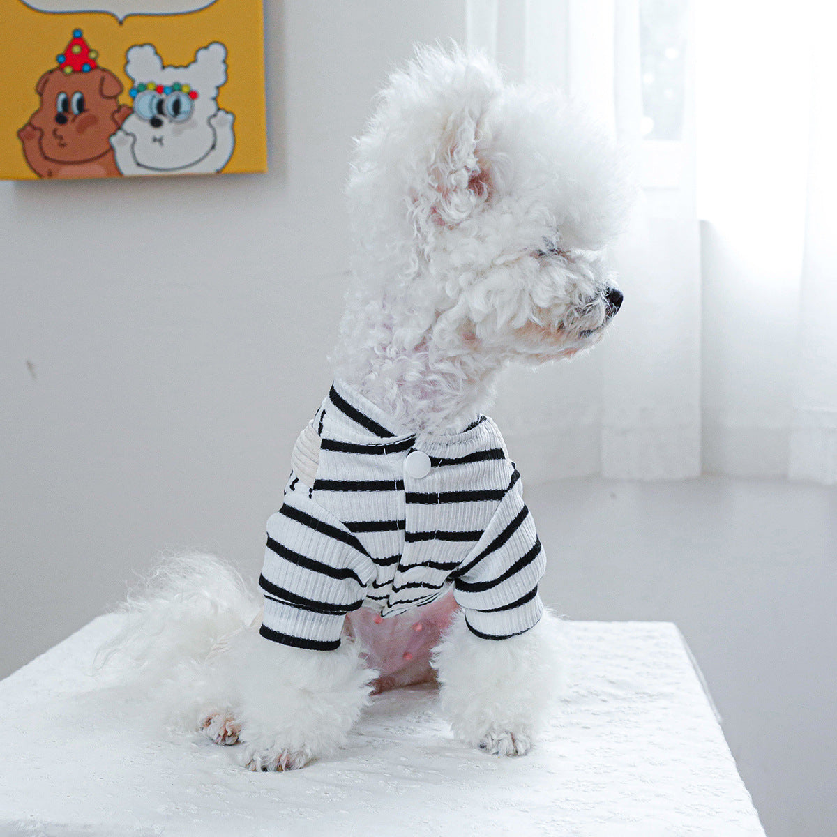 Chien porteur d'une salopette à rayures noires et blanches, mode pour animaux avec design confortable.