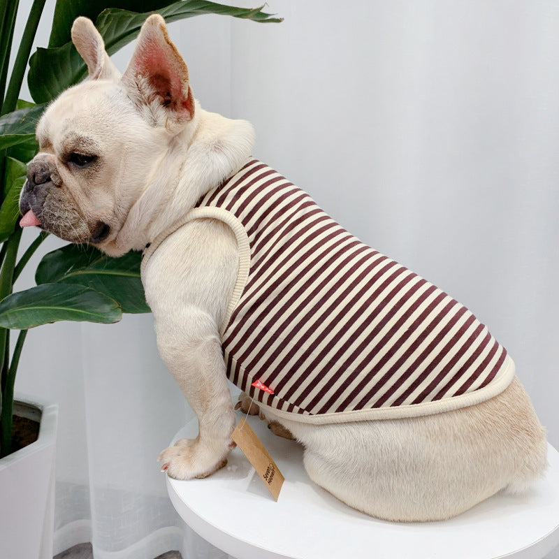 Chien élégant en vêtements d'été rayés, conçu en coton doux, pour le confort lors des journées chaudes.