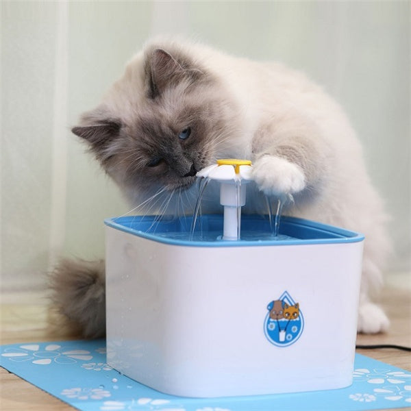 Chat jouant avec un distributeur d'eau automatique à fonctionnement pratique et flexibilité.