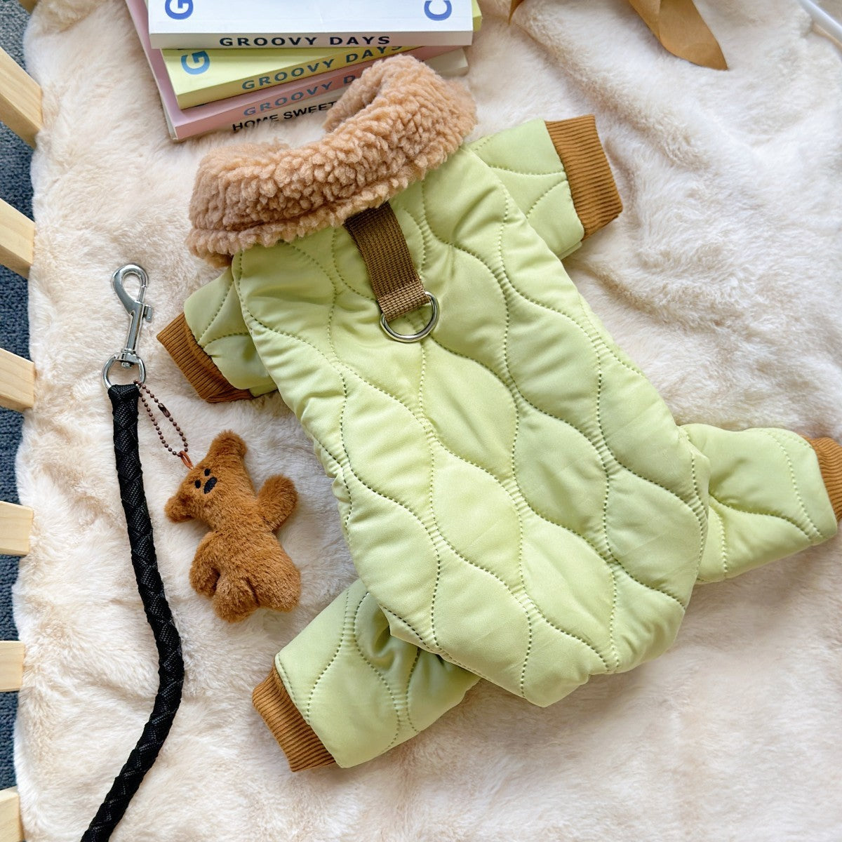Vêtement pour chiens en coton vert clair avec jouet ourson, laisse et livres sur un fond doux.