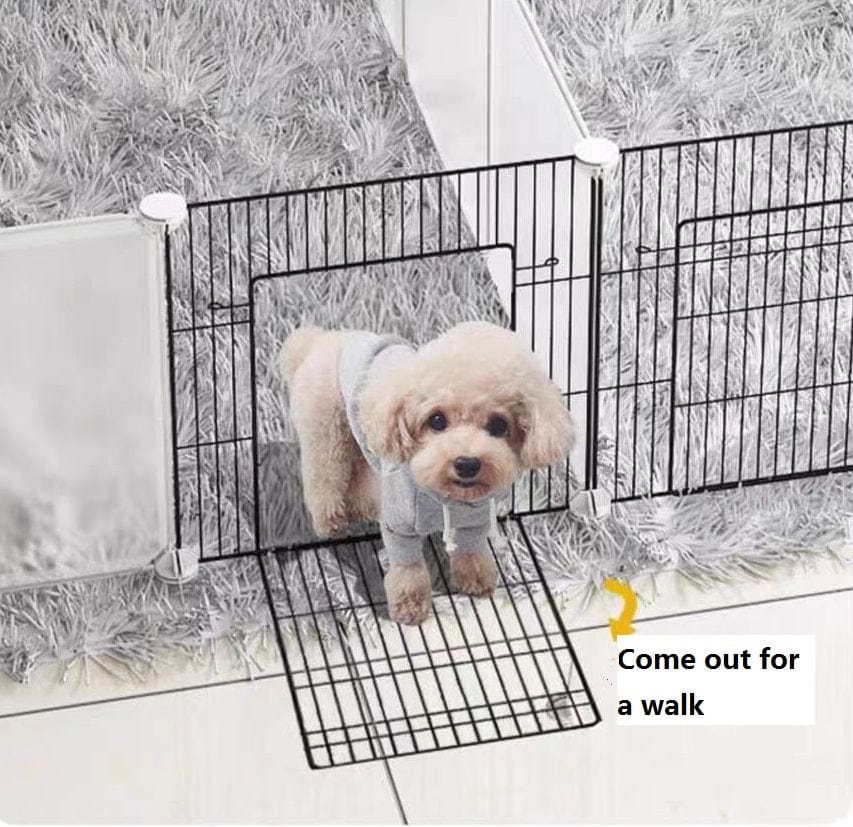Petit chien sortant d'une cage intérieure avec un panneau de sécurité, prêt pour une promenade.