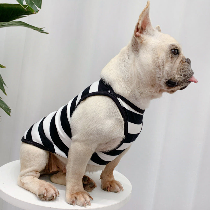 Chien dans un vêtement d'été à rayures noires et blanches, parfait pour rester élégant et confortable.