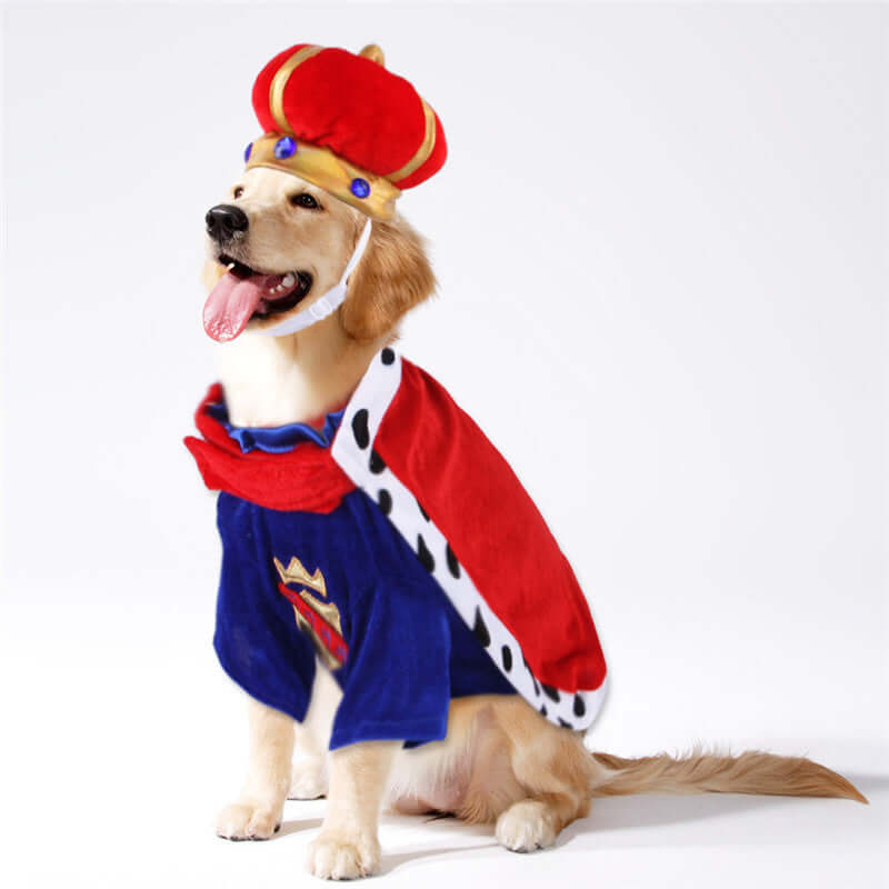 Chien déguisé en roi avec couronne et cape, look royal pour animaux de compagnie.