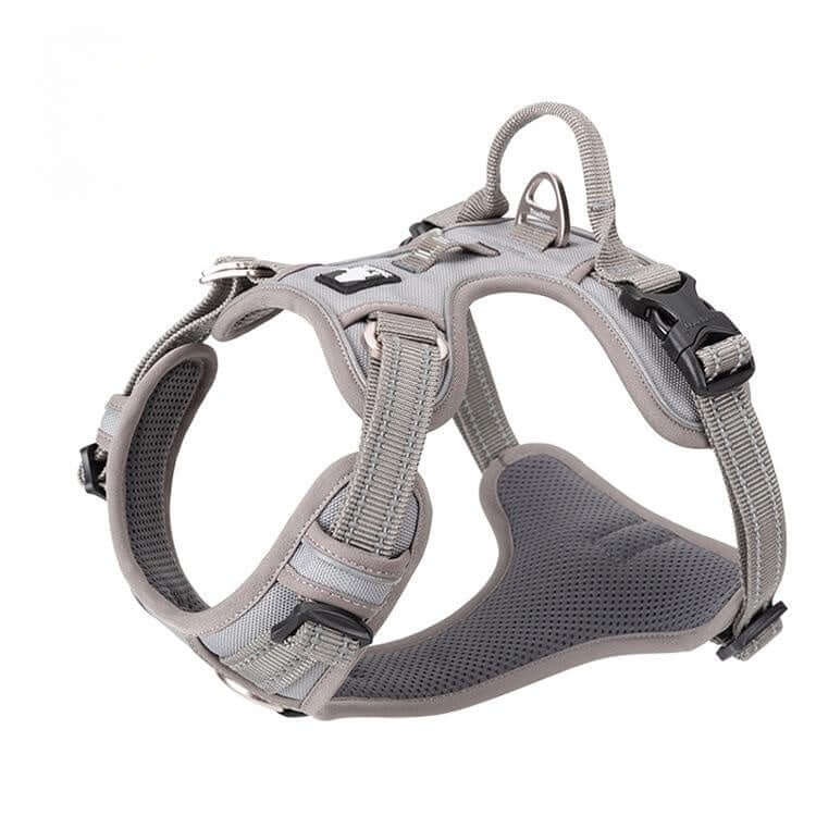 Gilet de sécurité pour chien en nylon résistant, avec sangle et sangle de traction, idéal pour les promenades.