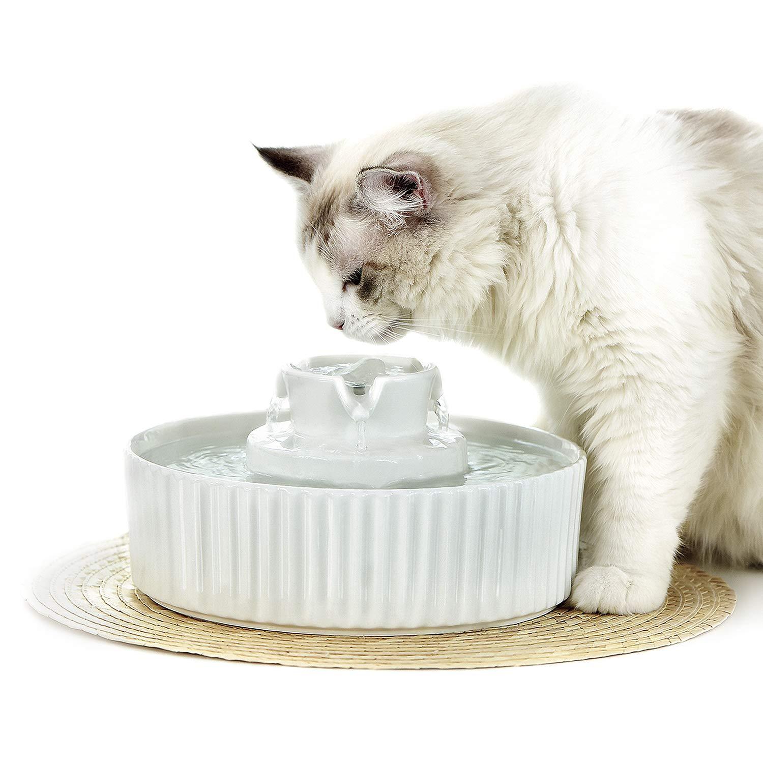 Distributeur d'eau en céramique pour animaux avec un chat curieux, design moderne et hygiénique.