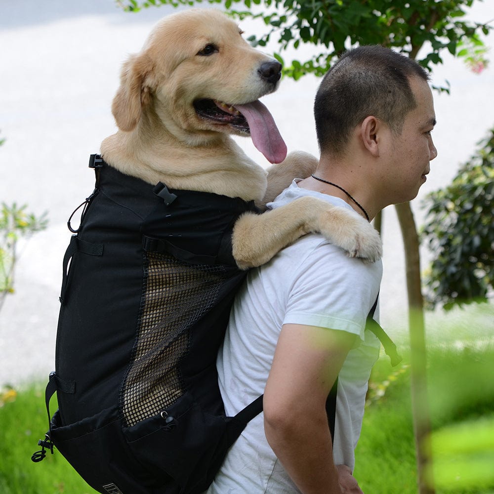 Homme portant un sac à dos ventilé avec un chien heureux, illustrant le transport confortable pour animaux.