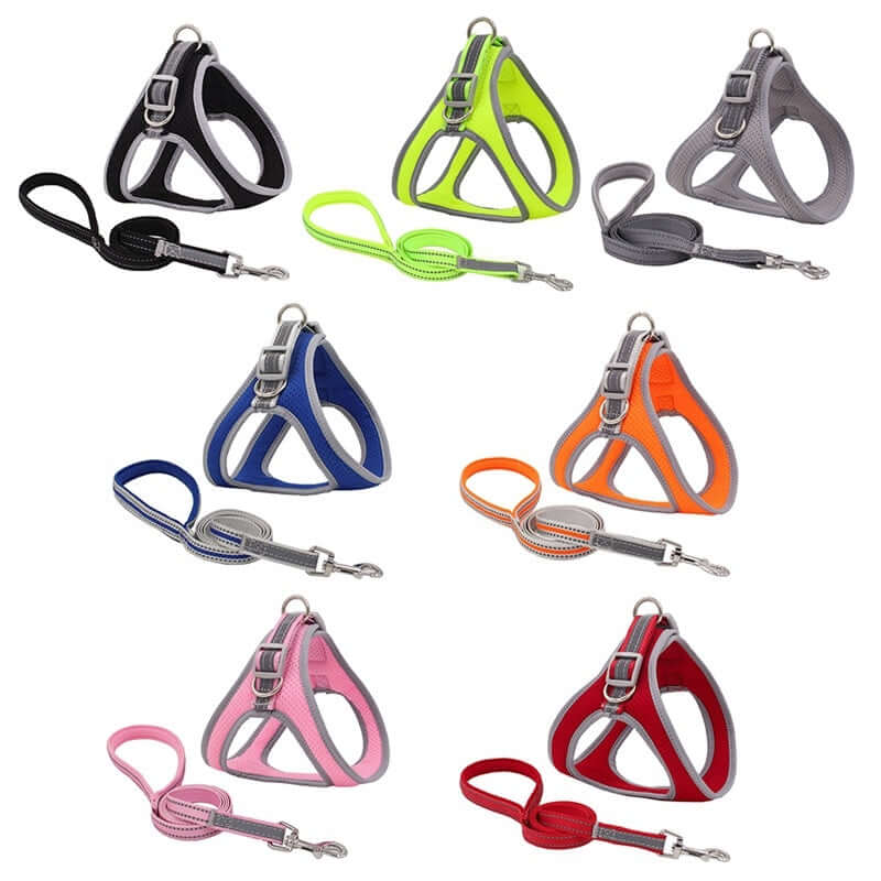 Harnais de poitrine pour animaux colorés avec laisses assorties, en nylon léger et durable pour un confort optimal.