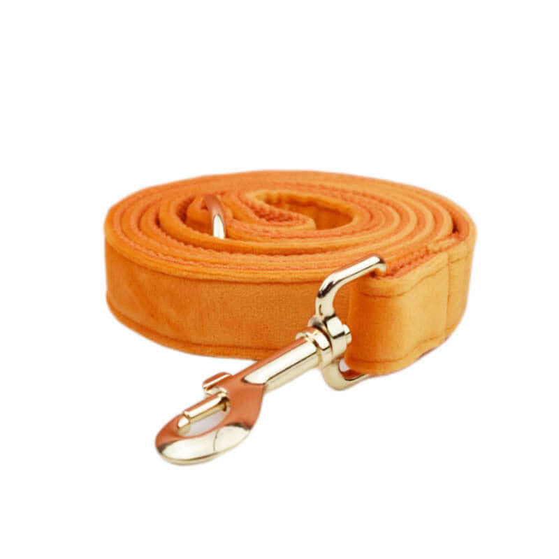 Laisse orange en velours pour chien, durable et élégante, idéale pour les promenades avec votre animal.