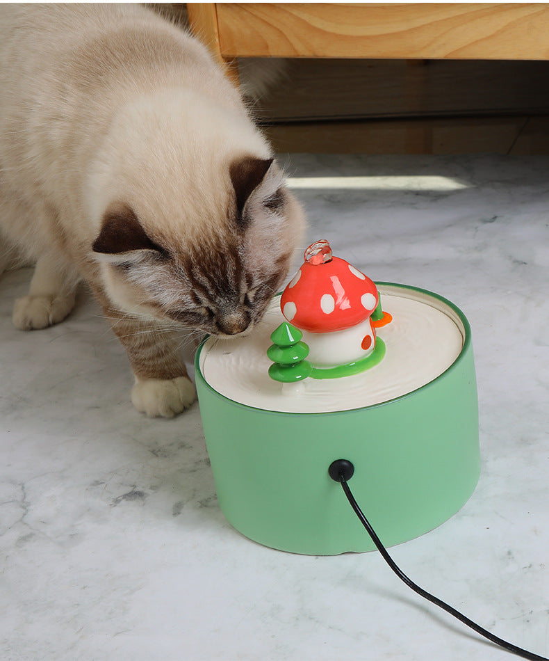 Fontaine à eau en céramique pour animaux, avec un chat en train de l'explorer.