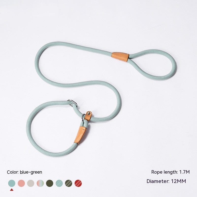 Laisse en nylon tressé P-Chain bleu-vert de 1,7 m pour chiens, avec un diamètre de 12 mm, idéale pour tous les chiens.