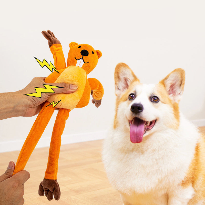 Jouet en Peluche pour Chien - Entraînement Interactif