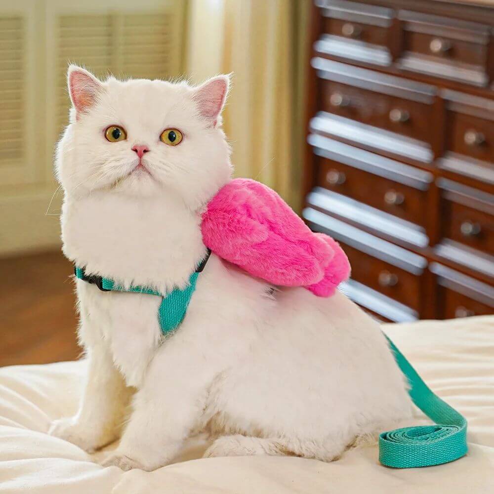 Chat blanc avec un harnais en cuir et un jouet en forme de coussin rose, posant sur un lit.
