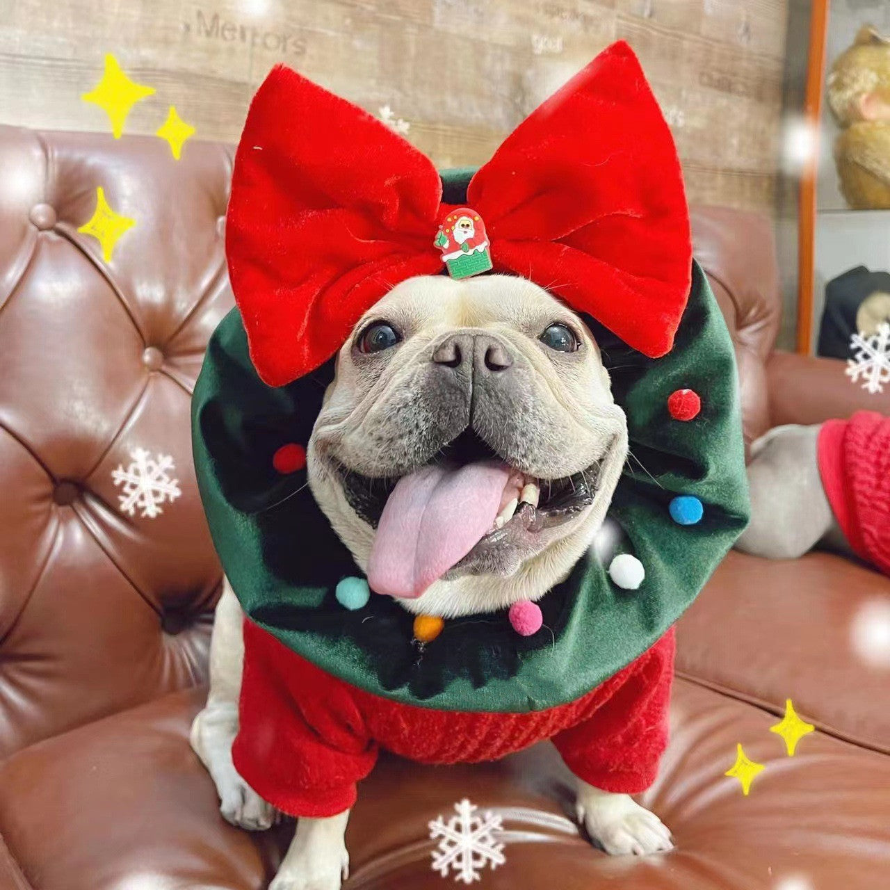 Chien heureux portant un ornement de Noël vert et rouge avec un grand nœud, ajoutant de la joie aux décorations festives.