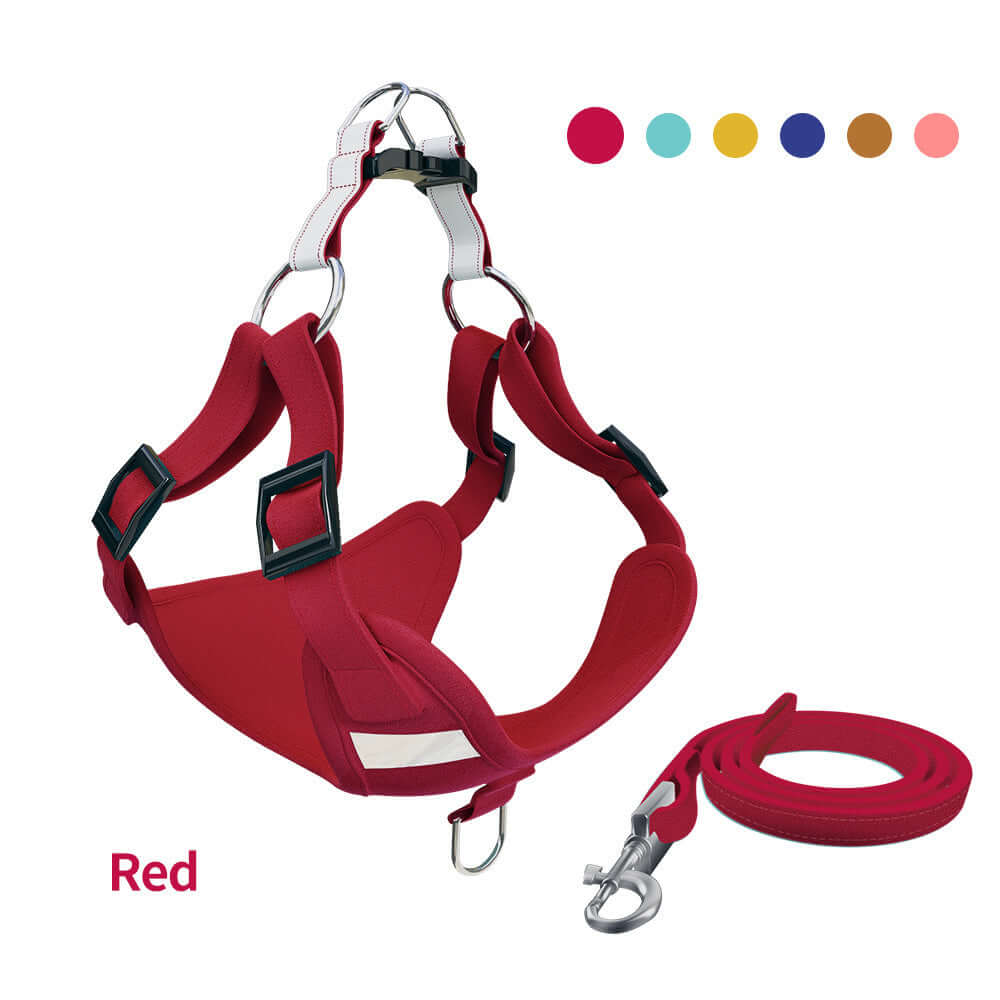 Gilet chien rouge avec harnais réfléchissant et laisse assortie, parfait pour la sécurité lors des promenades.
