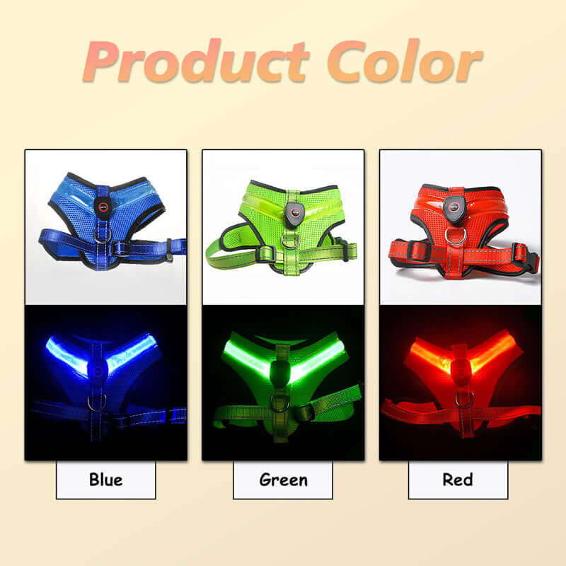 Harnais LED Mesh rechargeable pour chien en bleu, vert et rouge, offrant sécurité et visibilité nocturne.