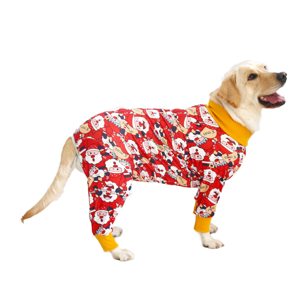 Chien en coton avec imprimé festif, portant un pull rouge à motifs de Noël, rayonnant de bonheur.