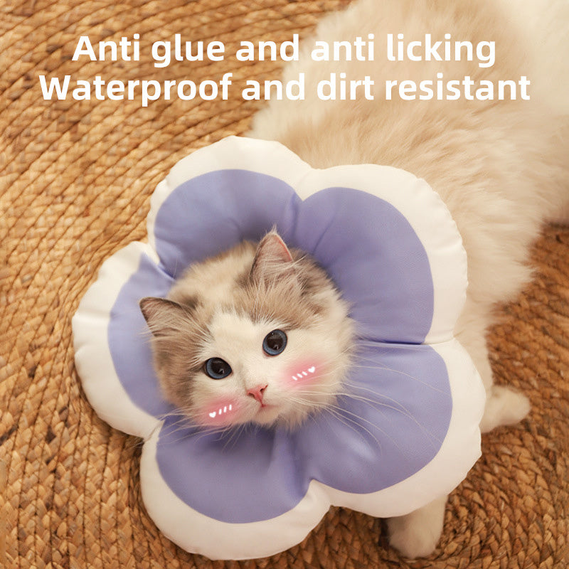 Chat avec coussin en forme de fleur, résistant à l'eau et à la saleté, anti-adhésif et anti-licking.