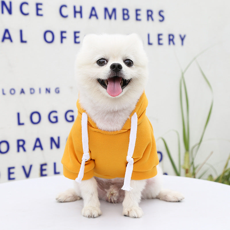 Chien portant un pull jaune à capuche, heureux, sur une table en extérieur.