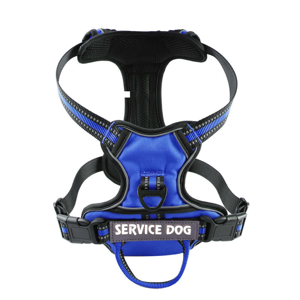 Harnais personnalisé en tissu Oxford bleu pour chien, durable et confortable, idéal pour le service ou les promenades.