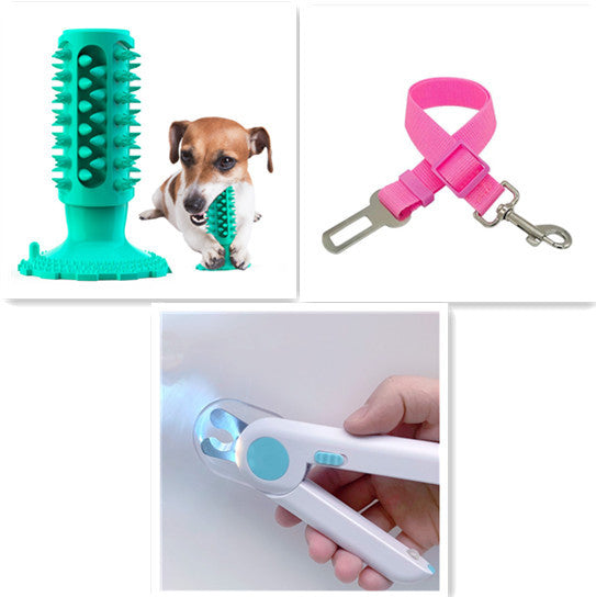 Brosse à Dents pour Chien Stick Molaire