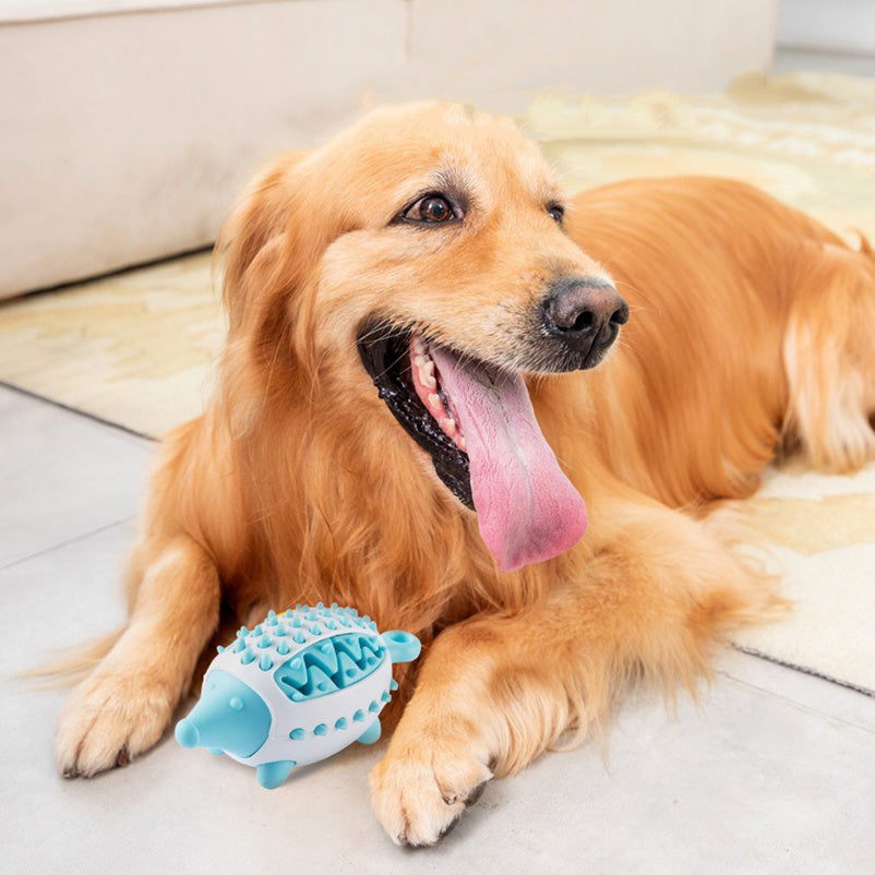 Boule à Fente pour Chien en Caoutchouc Durable