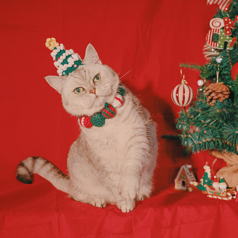Chat portant un chapeau de Noël mignon devant un sapin, parfait pour les fêtes avec accessoires adorables.
